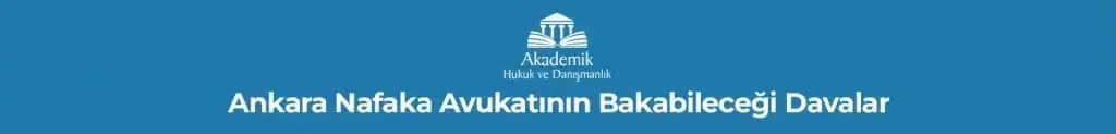 Ankara Nafaka Avukatının Bakabileceği Davalar