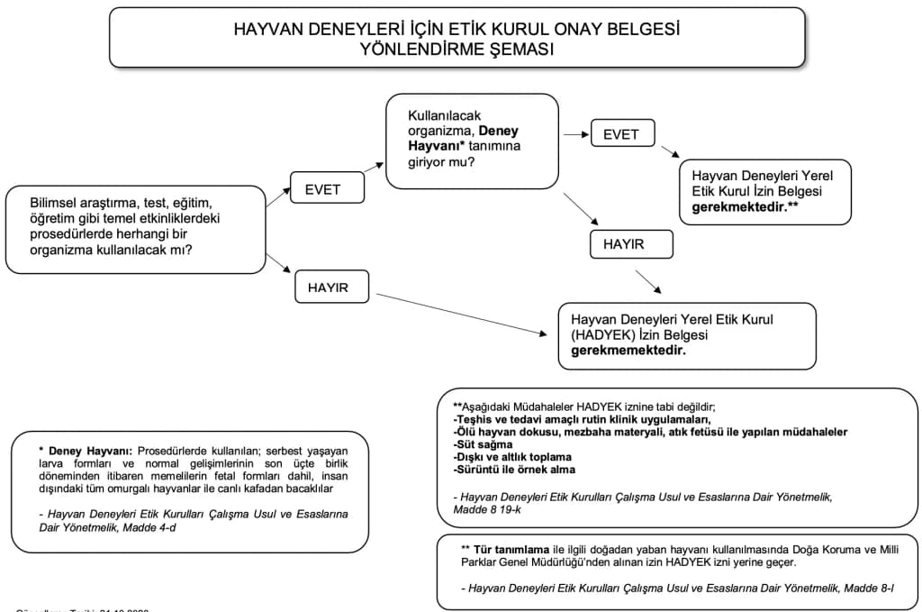 Etik Kurul İzni