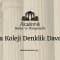 İliria Koleji Denklik Davaları